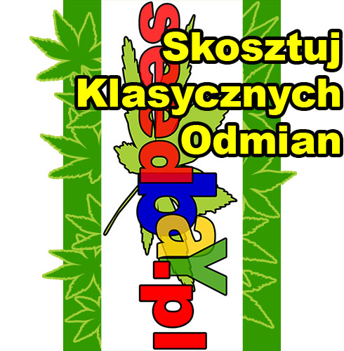 nasiona marihuany, nasiona konopi, nasiona cannabis, sklep